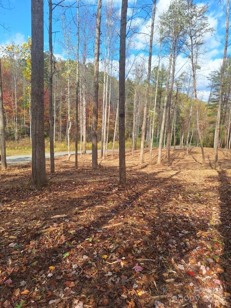 Acreage at 3298 Buffalo Creek Road, Lake Lure, photo 26 of 26