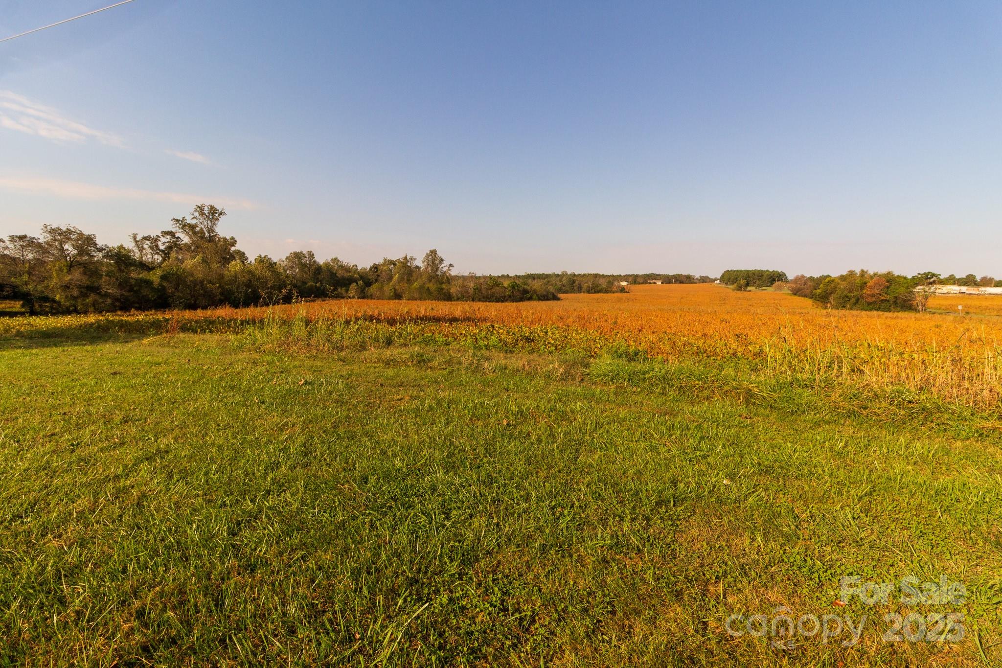 Acreage at 00 Lattimore Road, Shelby, photo 13 of 22