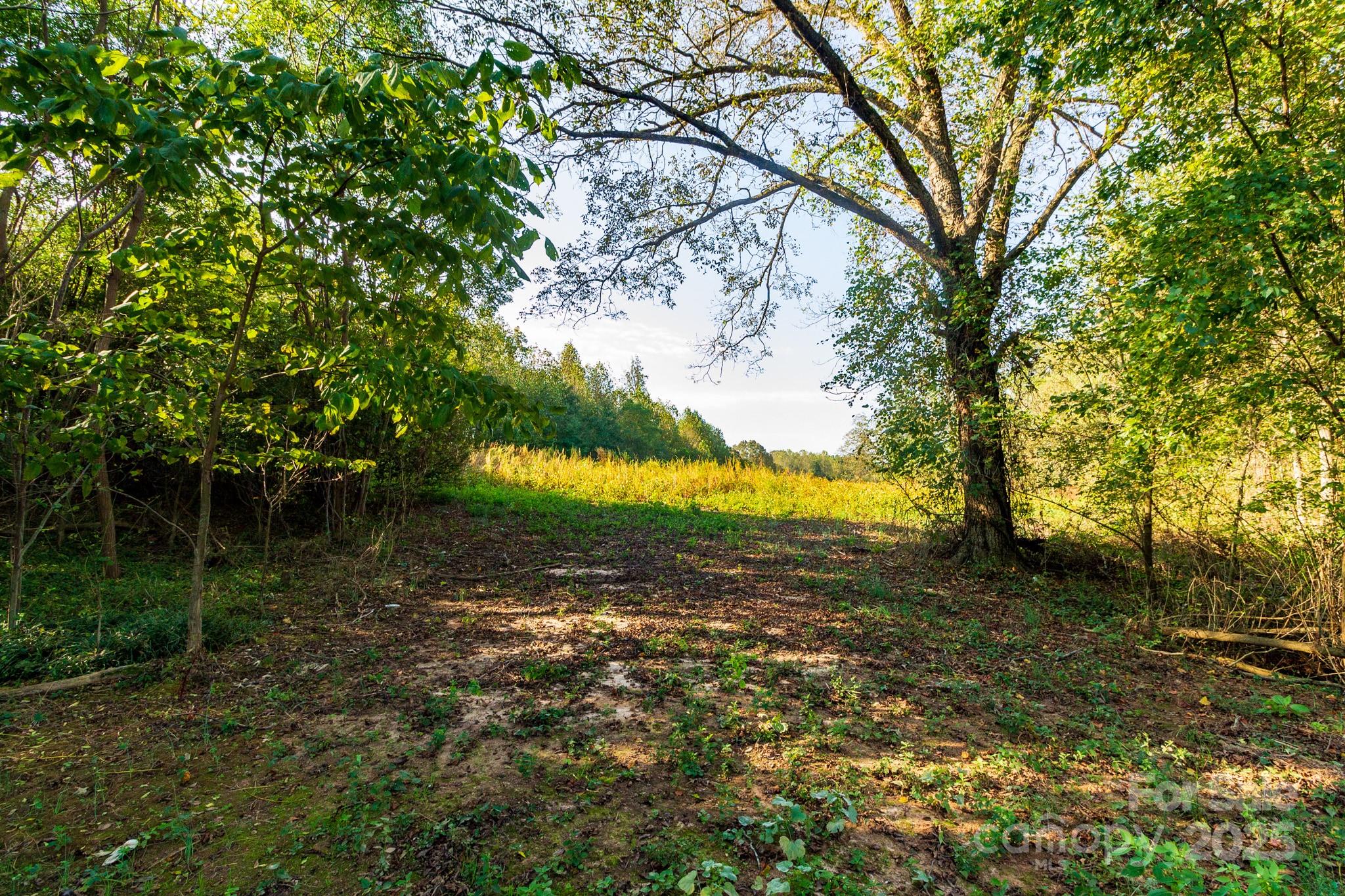 Acreage at 00 Lattimore Road, Shelby, photo 16 of 22