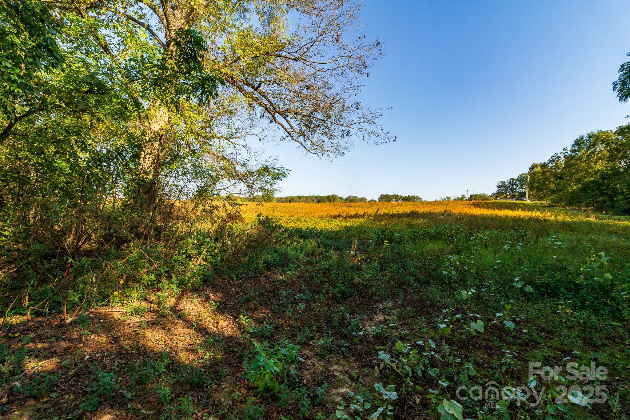 Acreage at 00 Lattimore Road, Shelby, photo 19 of 22