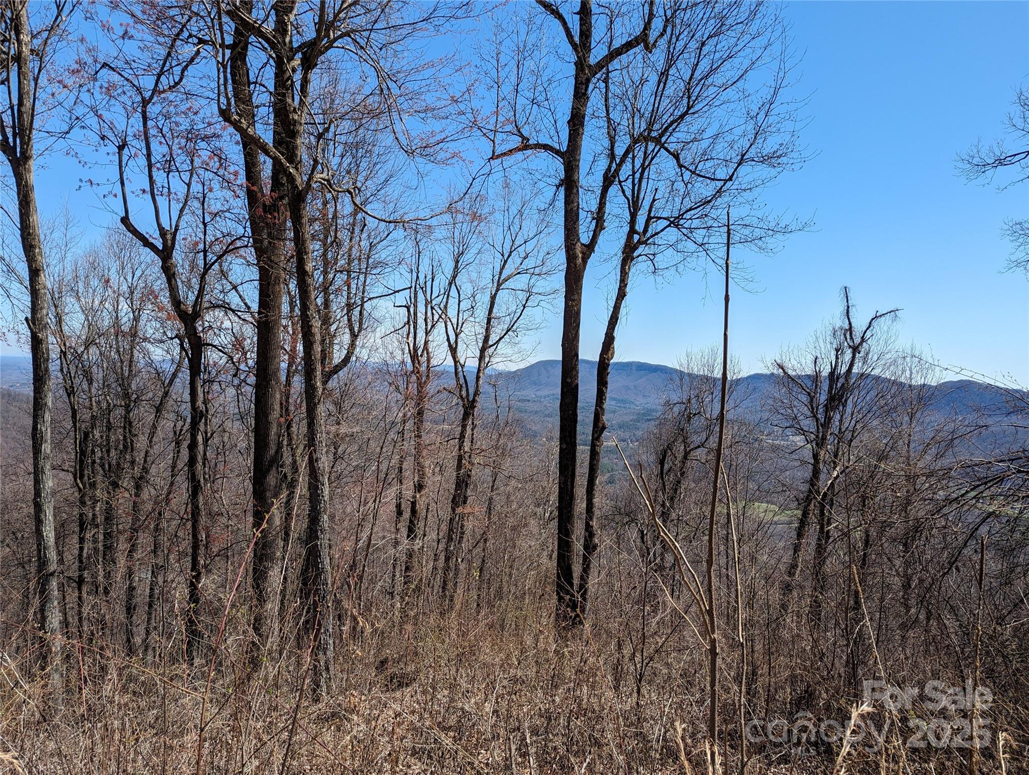 Lot at 2687 Creston Drive, Black Mountain, photo 4 of 30
