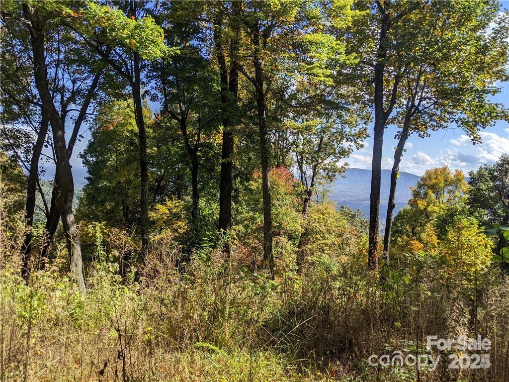 Lot at 2687 Creston Drive, Black Mountain, photo 10 of 30