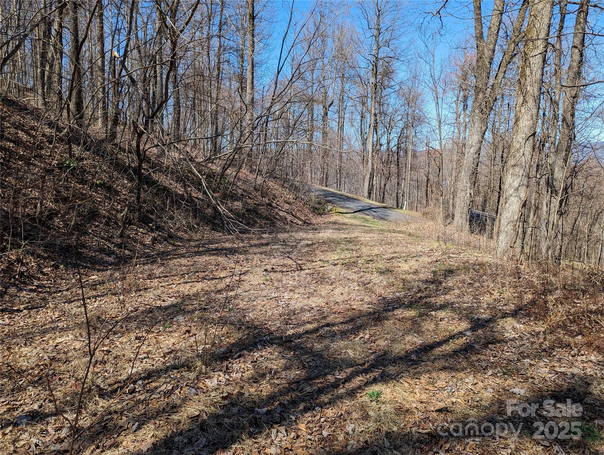 Lot at 2687 Creston Drive, Black Mountain, photo 15 of 30