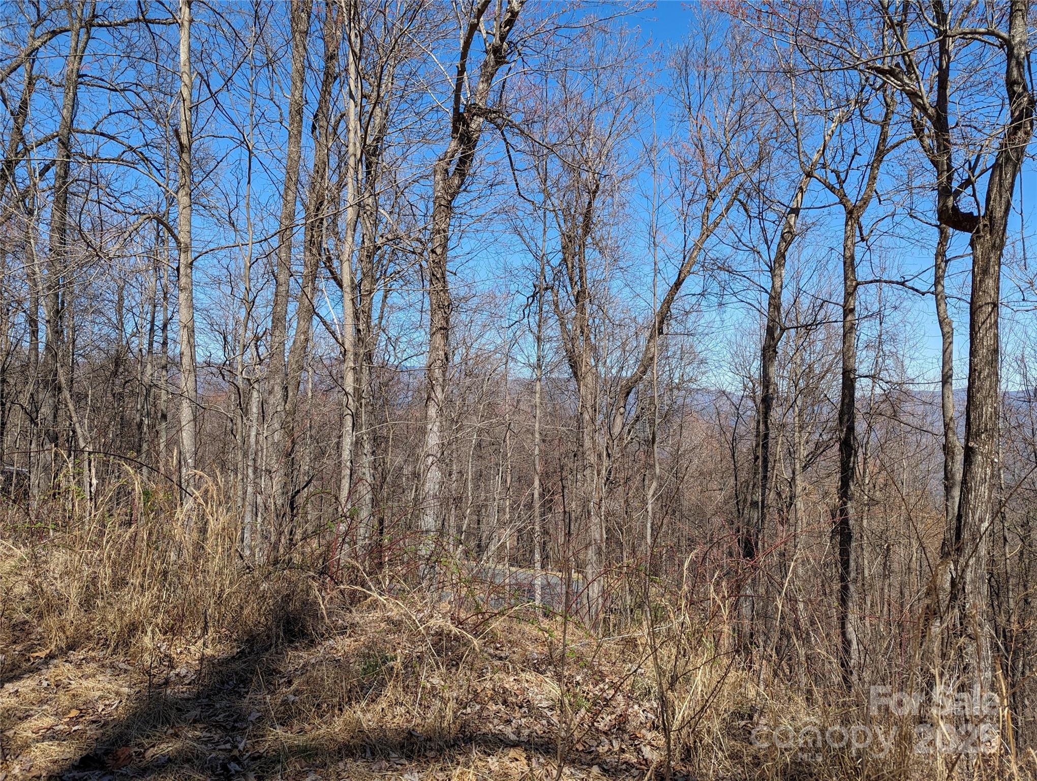 Lot at 2687 Creston Drive, Black Mountain, photo 24 of 30
