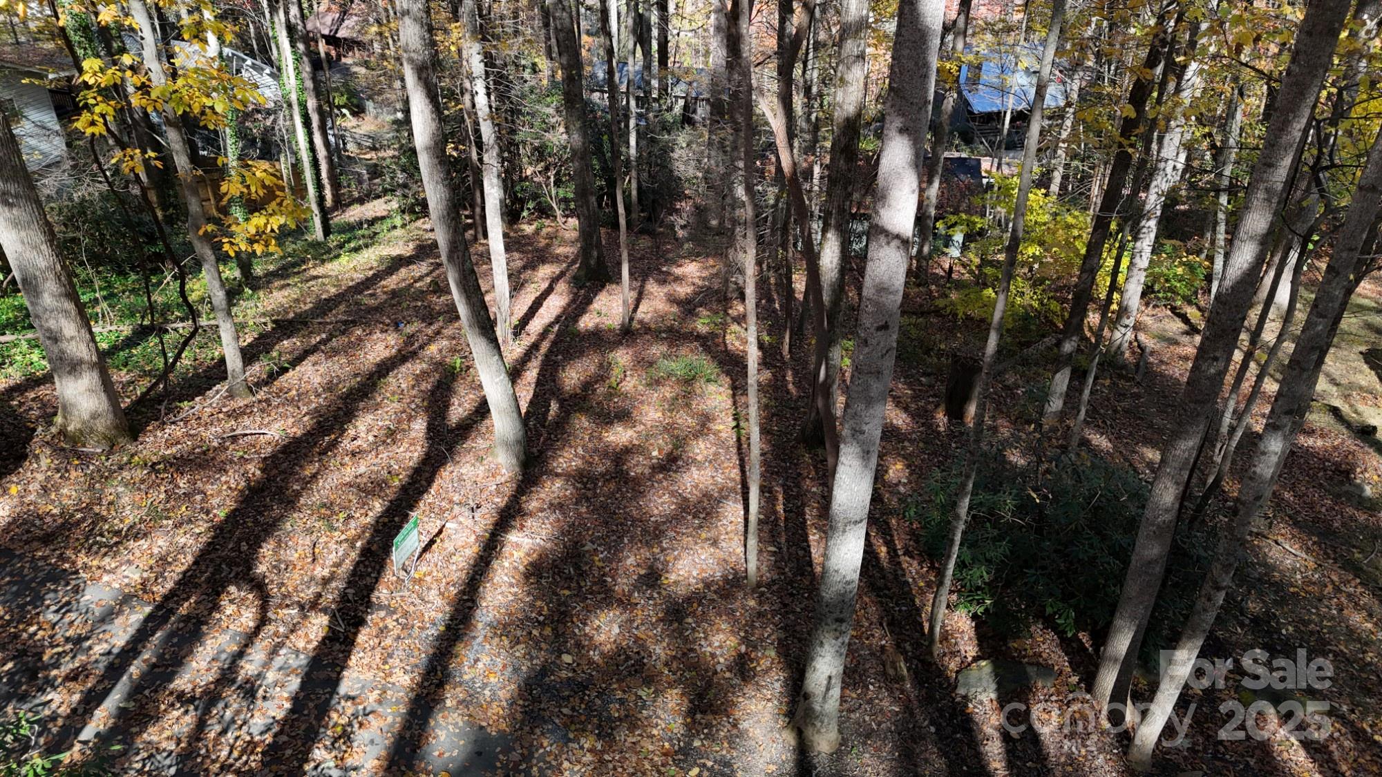 Lot at Lot C31 Shady Lane, Maggie Valley, photo 2 of 23