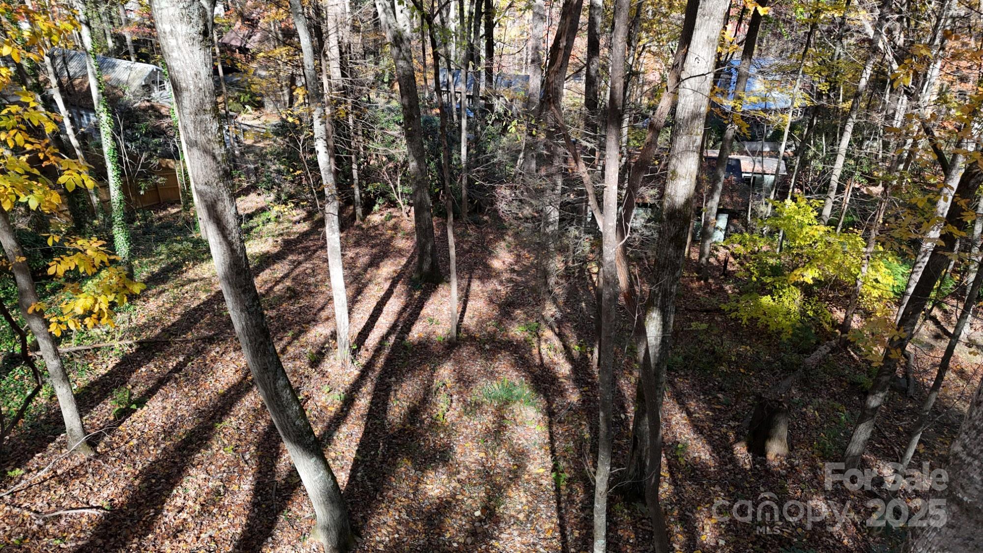Lot at Lot C31 Shady Lane, Maggie Valley, photo 4 of 23
