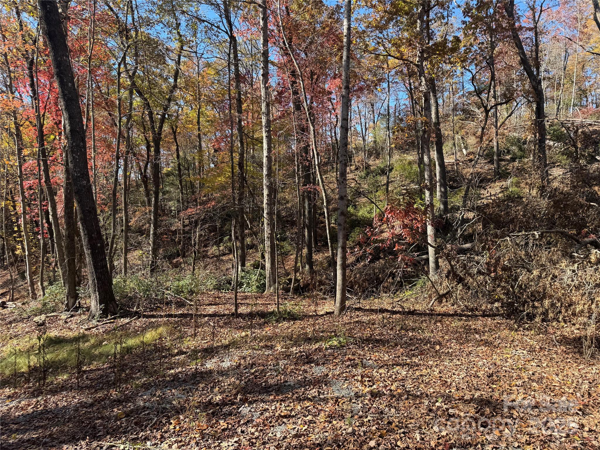 Acreage at 00 Normcol Road, Pisgah Forest, photo 3 of 13