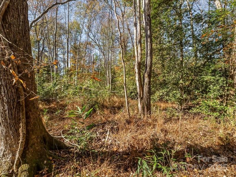 Lot at 302 Winding Creek Drive, Morganton, photo 5 of 10