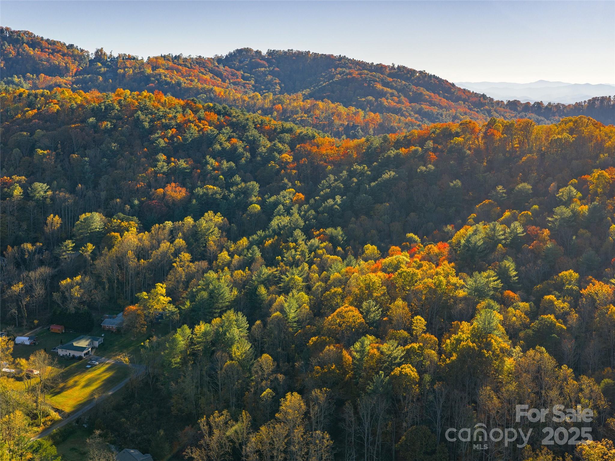 Acreage at 51 Rice Branch Road, Asheville, photo 3 of 8