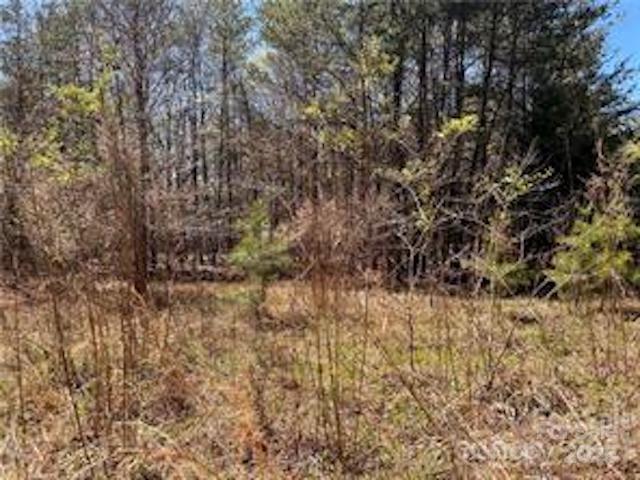 Acreage at 0000 Elliot Lane, Rutherfordton, photo 4 of 14
