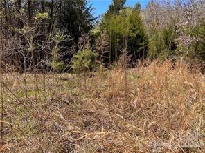 Acreage at 0000 Elliot Lane, Rutherfordton, photo 8 of 14