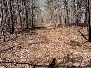 Acreage at 0000 Elliot Lane, Rutherfordton, photo 9 of 14