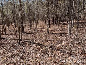 Acreage at 0000 Elliot Lane, Rutherfordton, photo 11 of 14