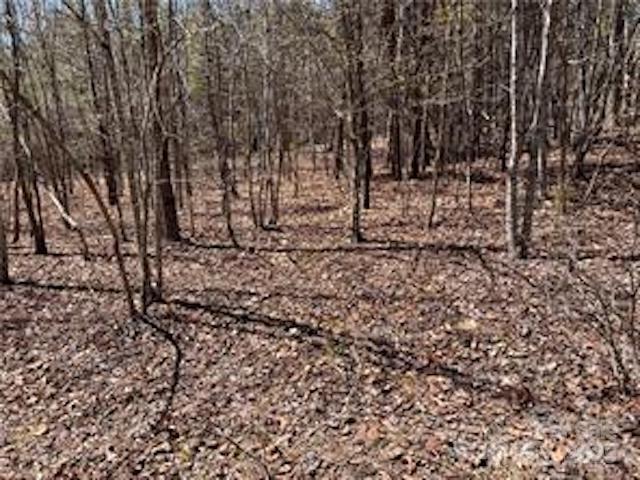 Acreage at 0000 Elliot Lane, Rutherfordton, photo 14 of 14