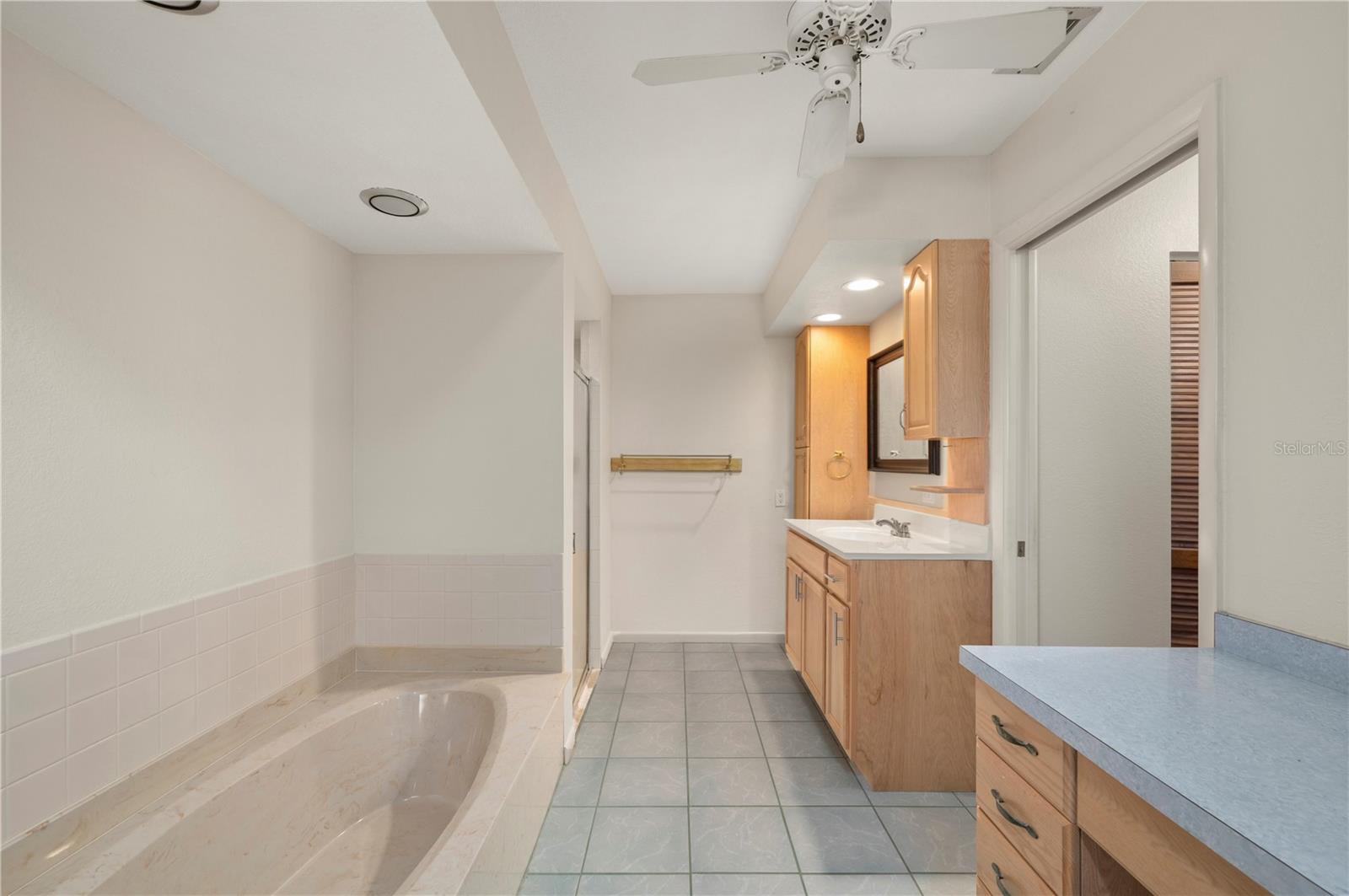 Primary bathroom with separate tub and shower. - 17356 GULFSPRAY CIR, PORT CHARLOTTE