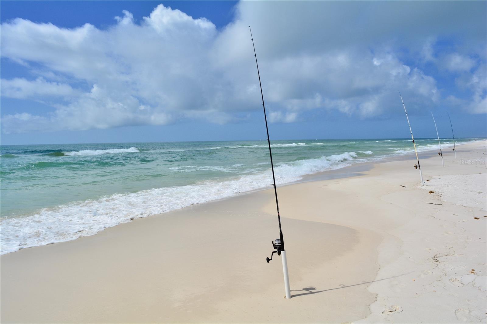 Fresh catch of the day right out your front door. - 6618 S ATLANTIC AVE, NEW SMYRNA BEACH