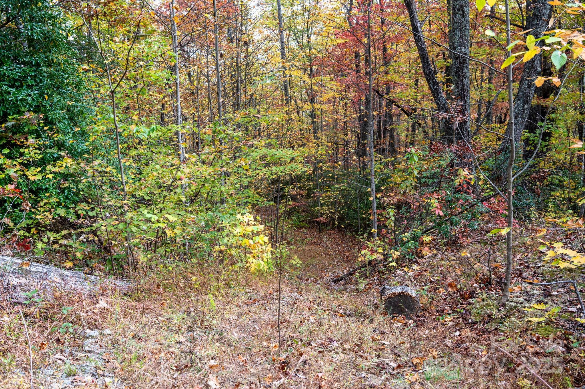 4B LOWER FLAT CREEK Road