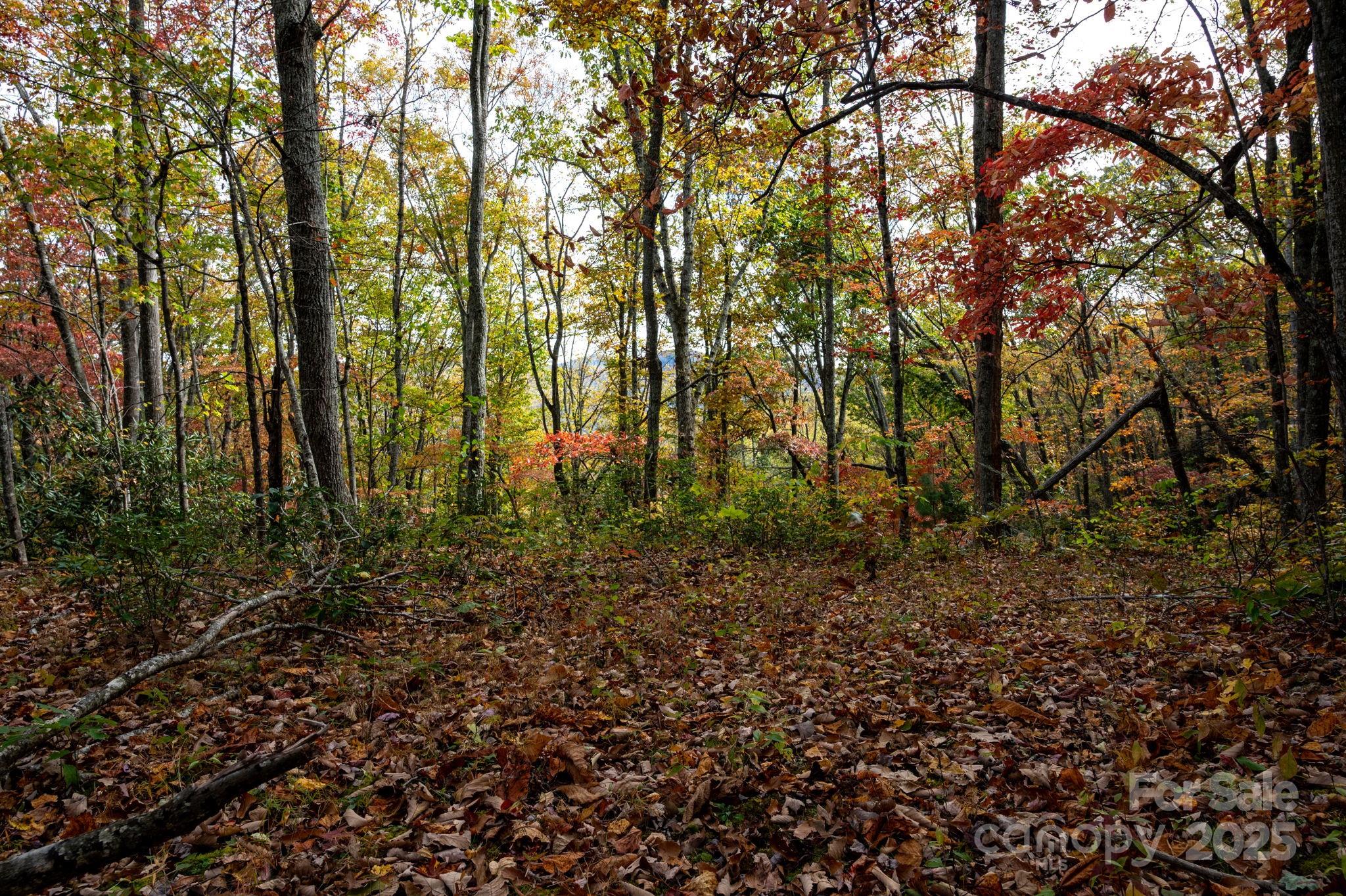 Lot at 4B LOWER FLAT CREEK Road, Black Mountain, photo 2 of 25