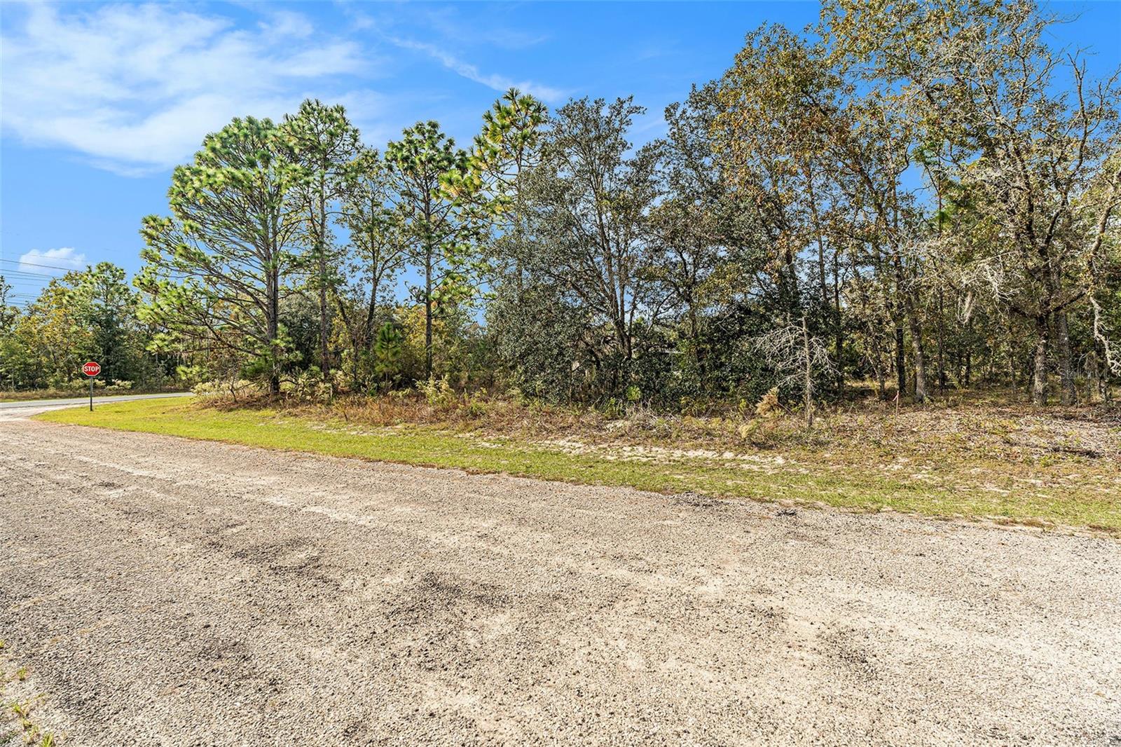 Land at 1541 W RILEY DR, DUNNELLON, photo 9 of 13