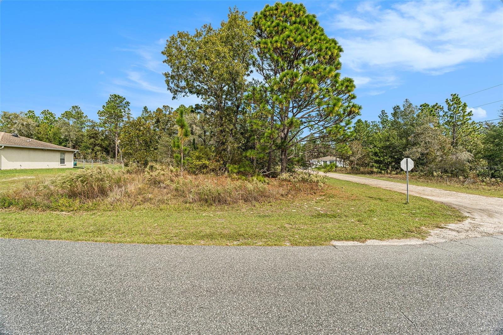 Land at 1541 W RILEY DR, DUNNELLON, photo 3 of 13