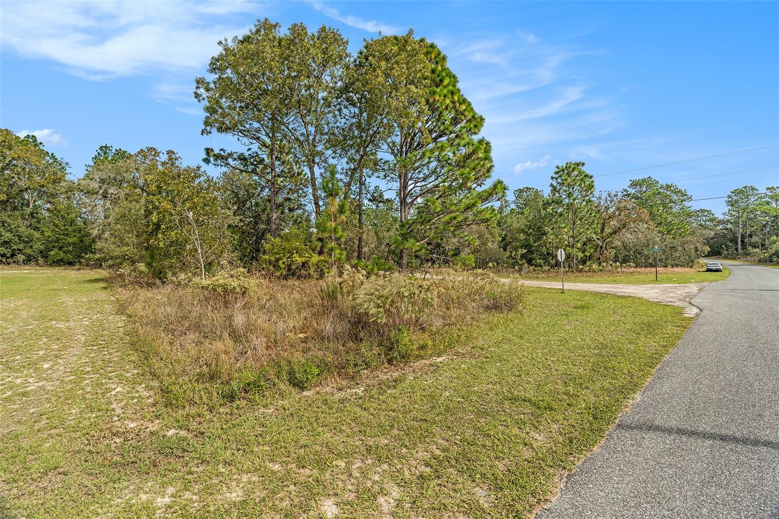 Land at 1541 W RILEY DR, DUNNELLON, photo 5 of 13