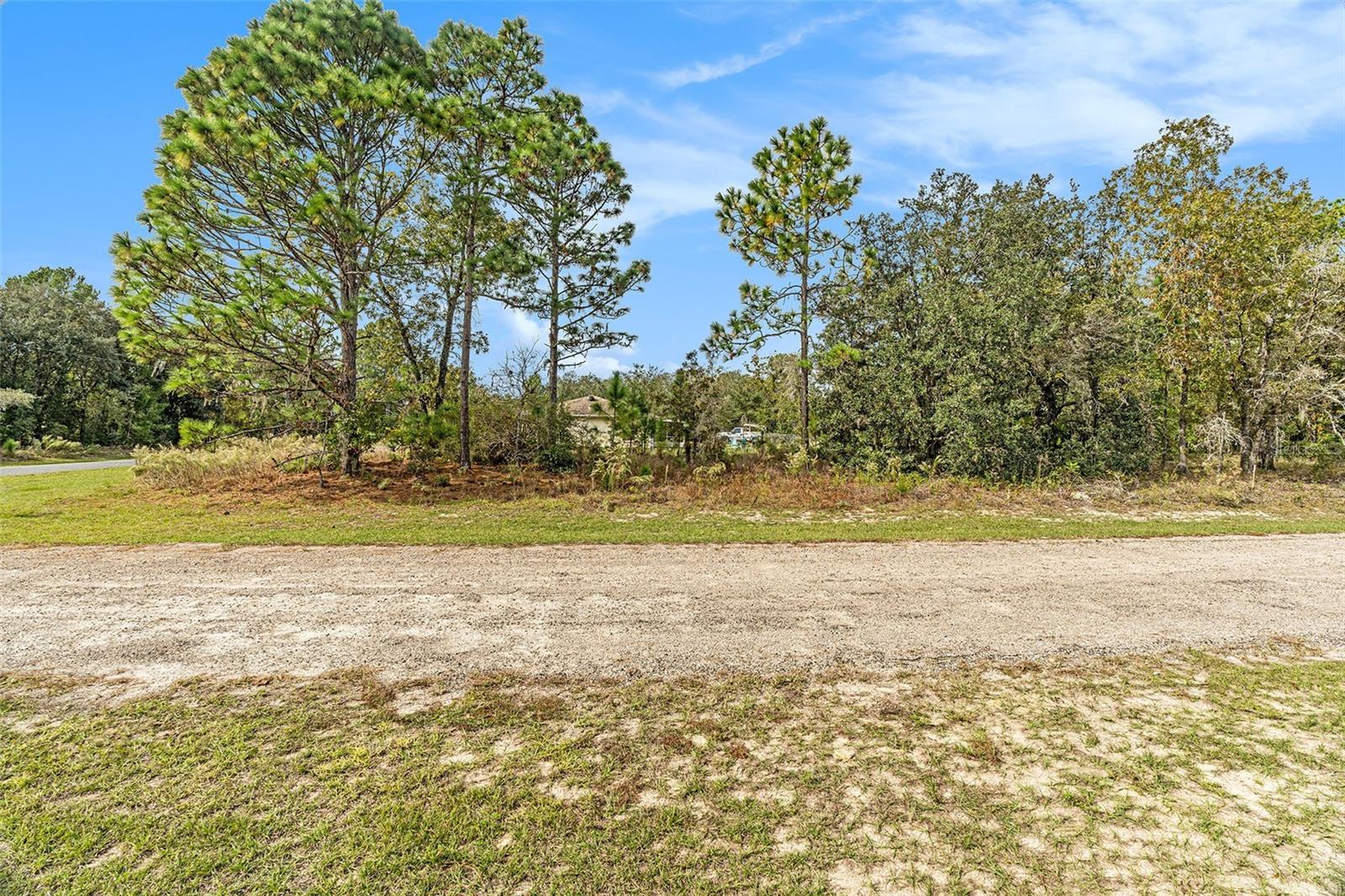 Land at 1541 W RILEY DR, DUNNELLON, photo 8 of 13