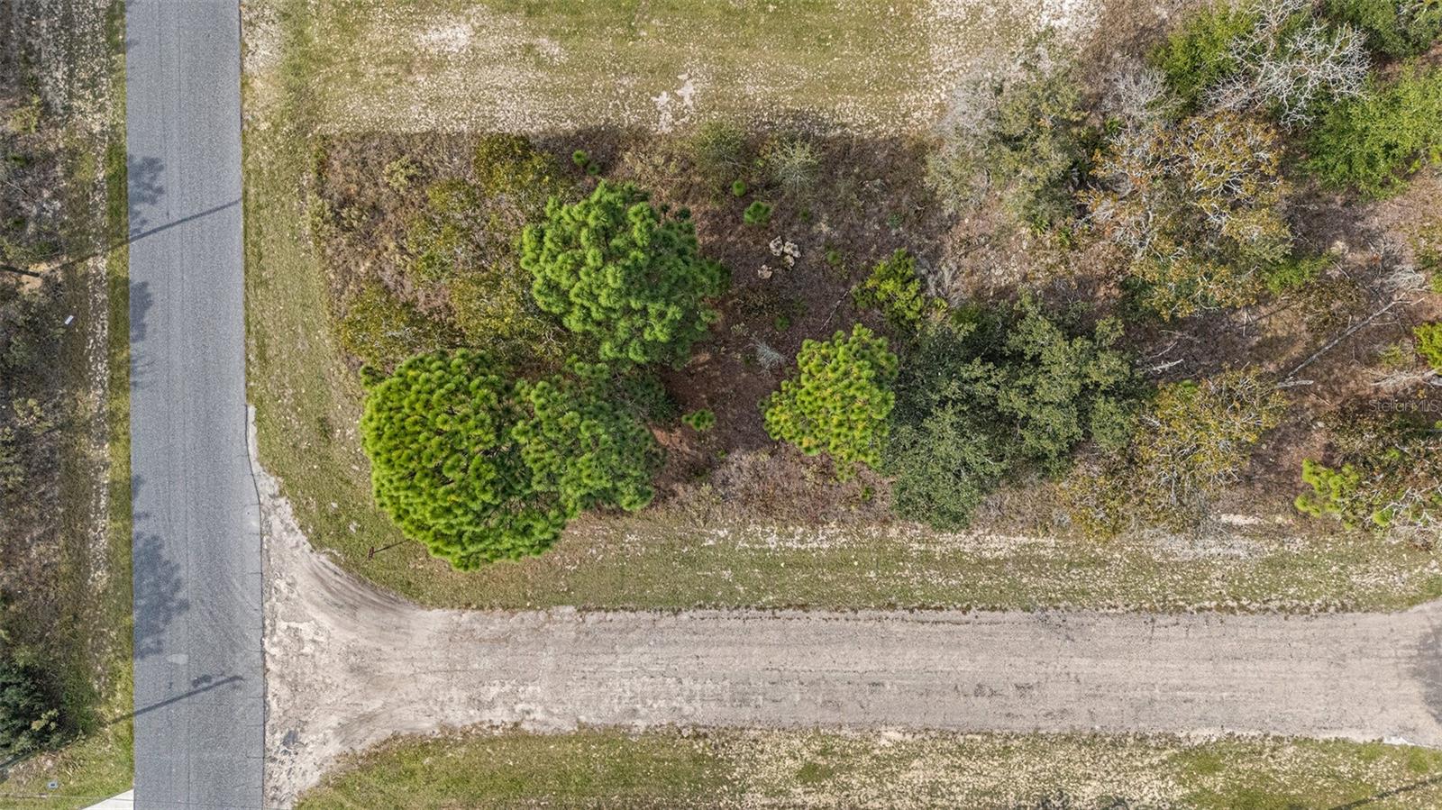 Land at 1541 W RILEY DR, DUNNELLON, photo 10 of 13
