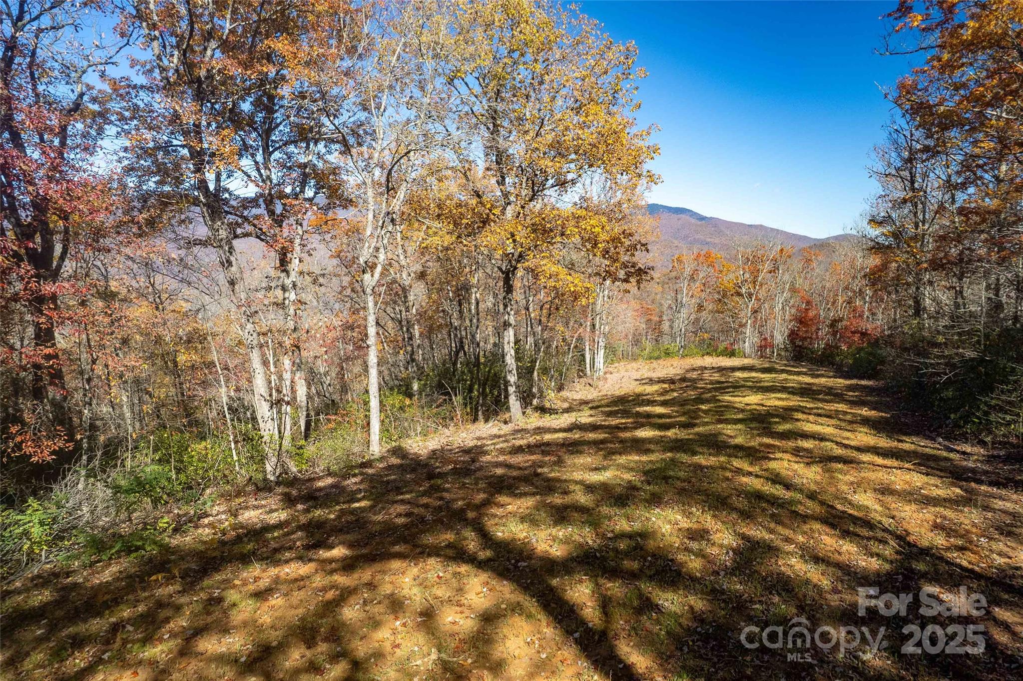 Acreage at 930 Copperhead Cove, Sylva, photo 48 of 48