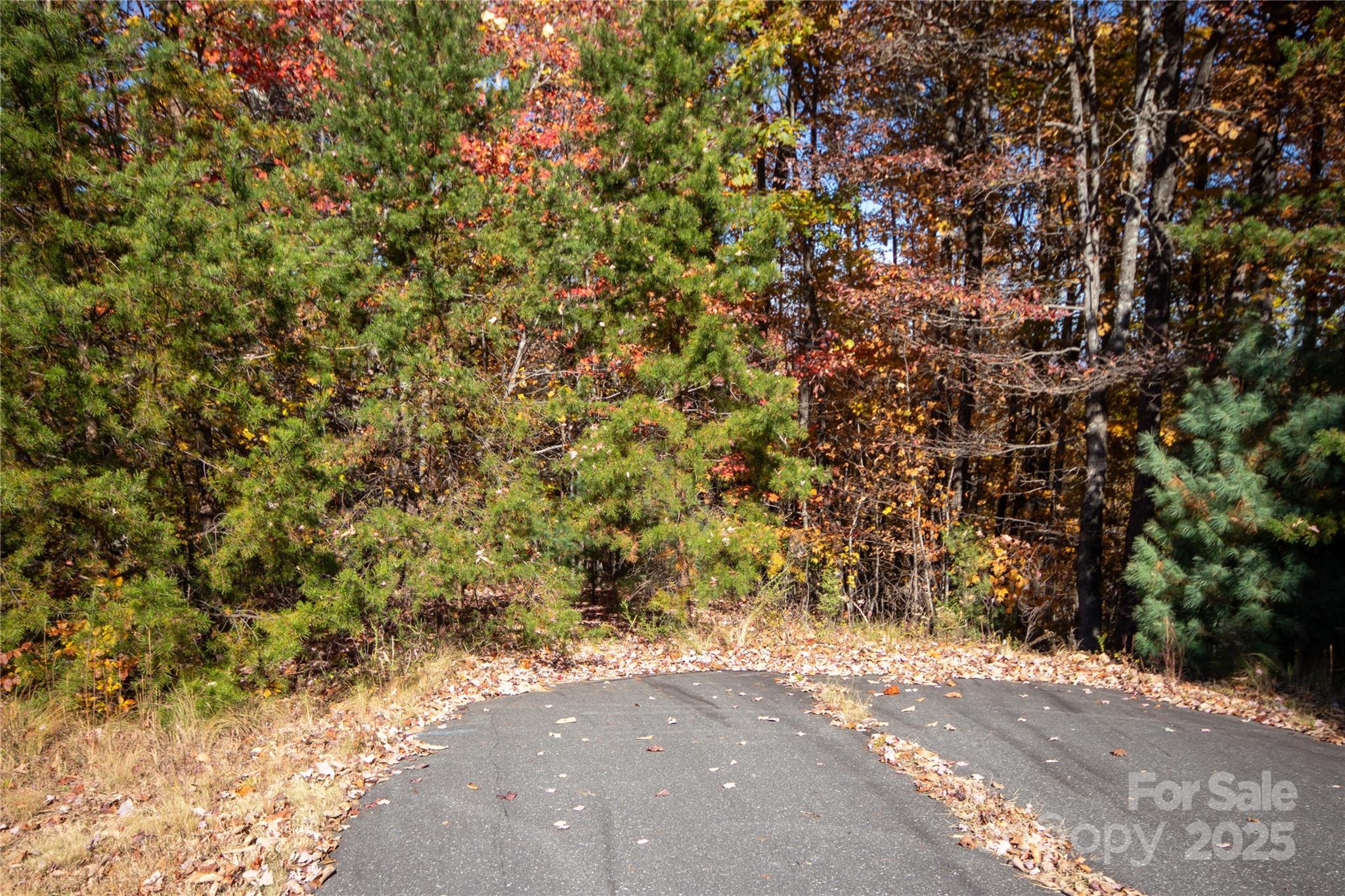 Property starts at end of Pavement - Lot# 4 Peregrine Terrace, Lenoir
