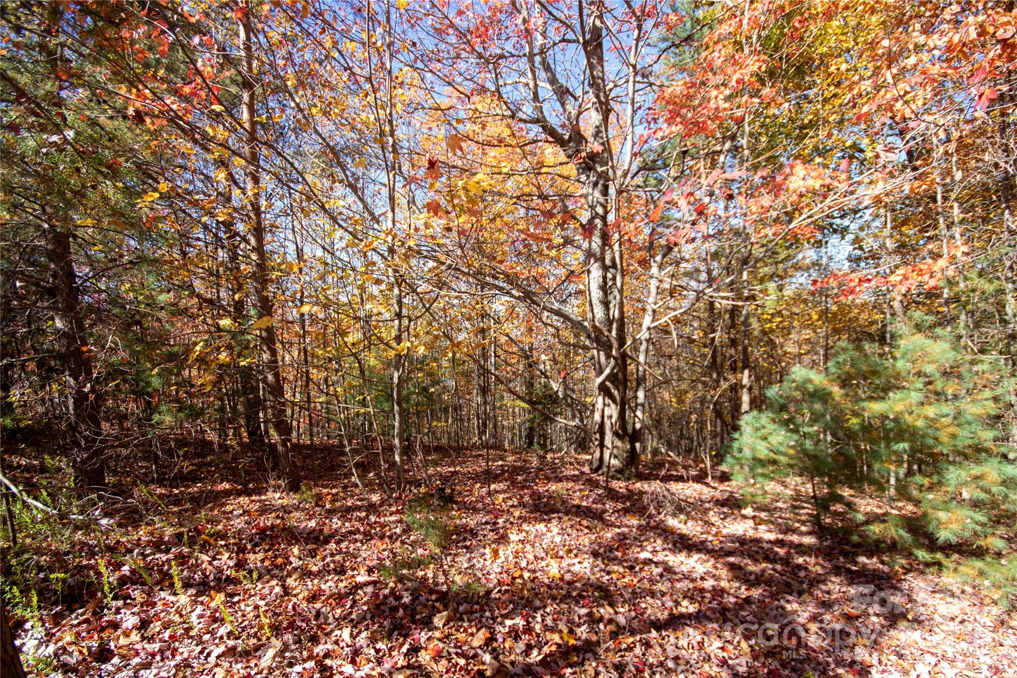 Lot at Lot# 4 Peregrine Terrace, Lenoir, photo 10 of 23