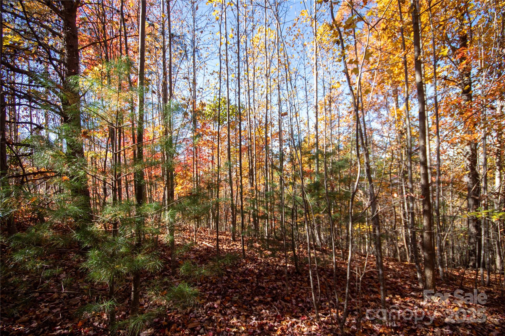 Lot at Lot# 4 Peregrine Terrace, Lenoir, photo 12 of 23