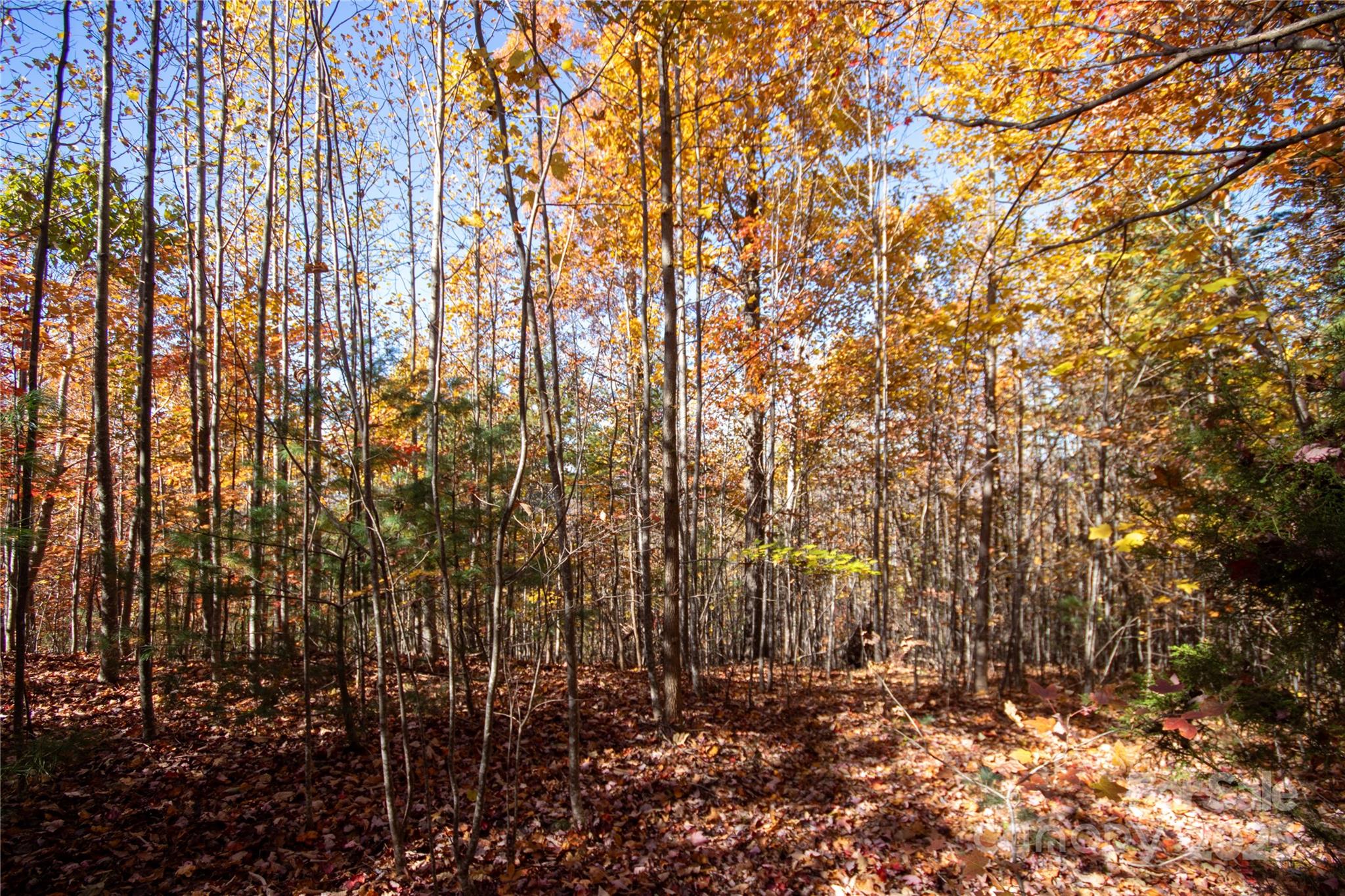 Lot at Lot# 4 Peregrine Terrace, Lenoir, photo 14 of 23