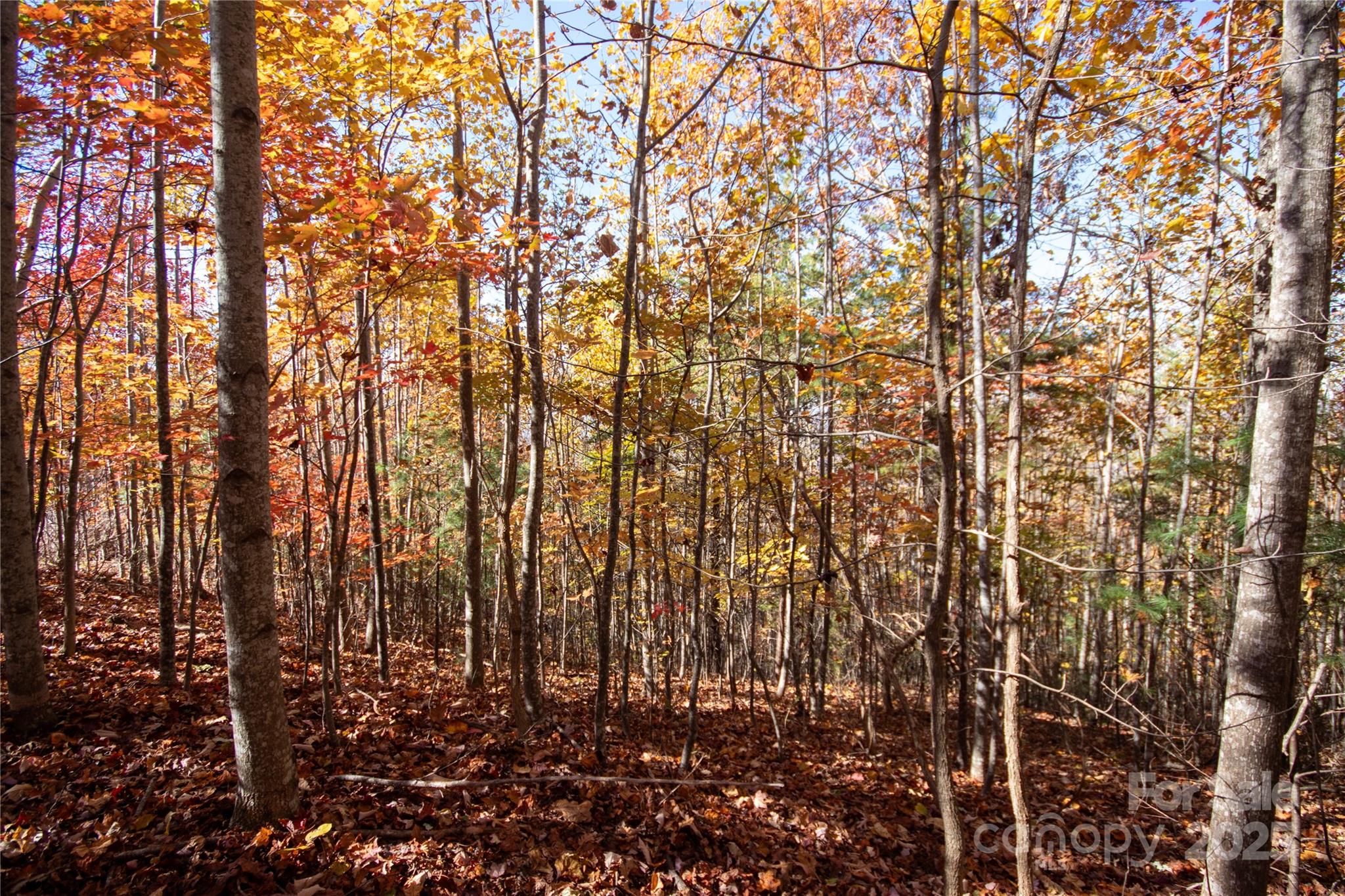 Lot at Lot# 4 Peregrine Terrace, Lenoir, photo 16 of 23