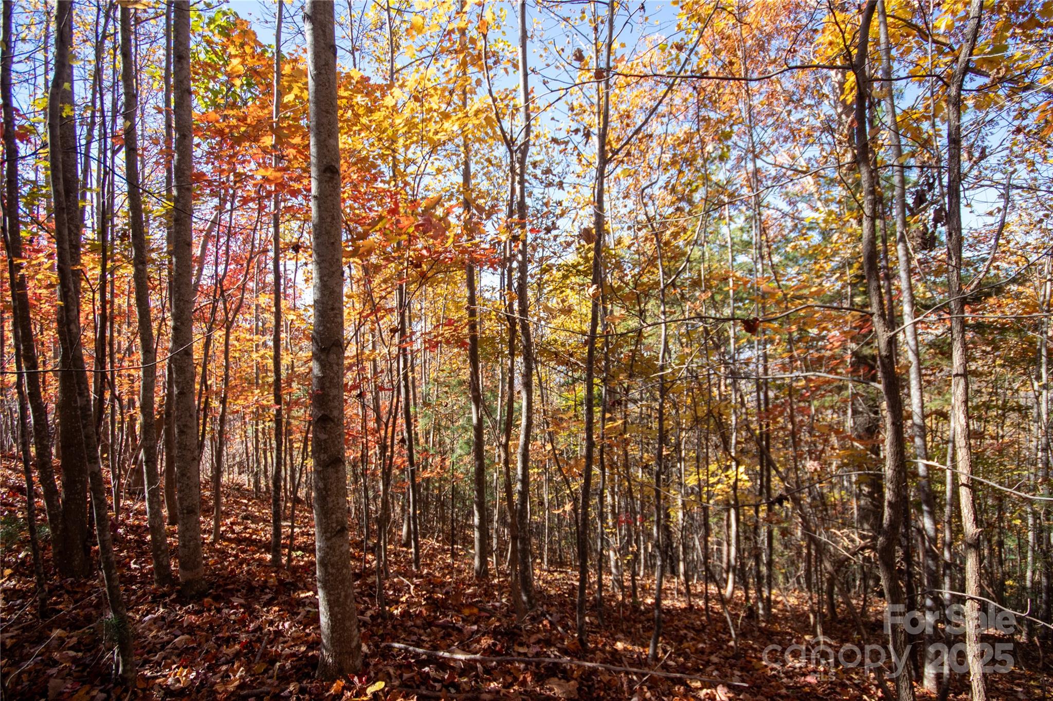 Lot at Lot# 4 Peregrine Terrace, Lenoir, photo 18 of 23
