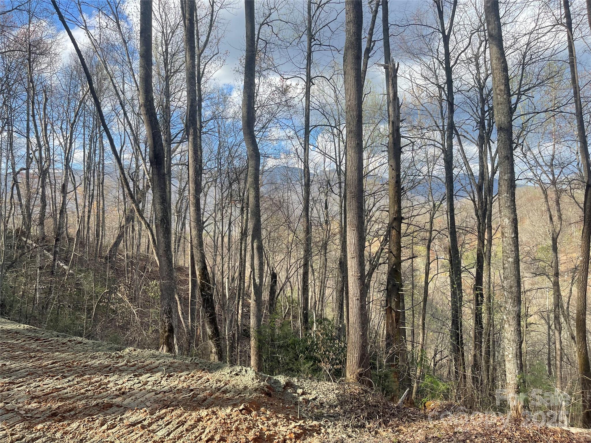 Acreage at 4 Copperhead Cove, Sylva, photo 3 of 28