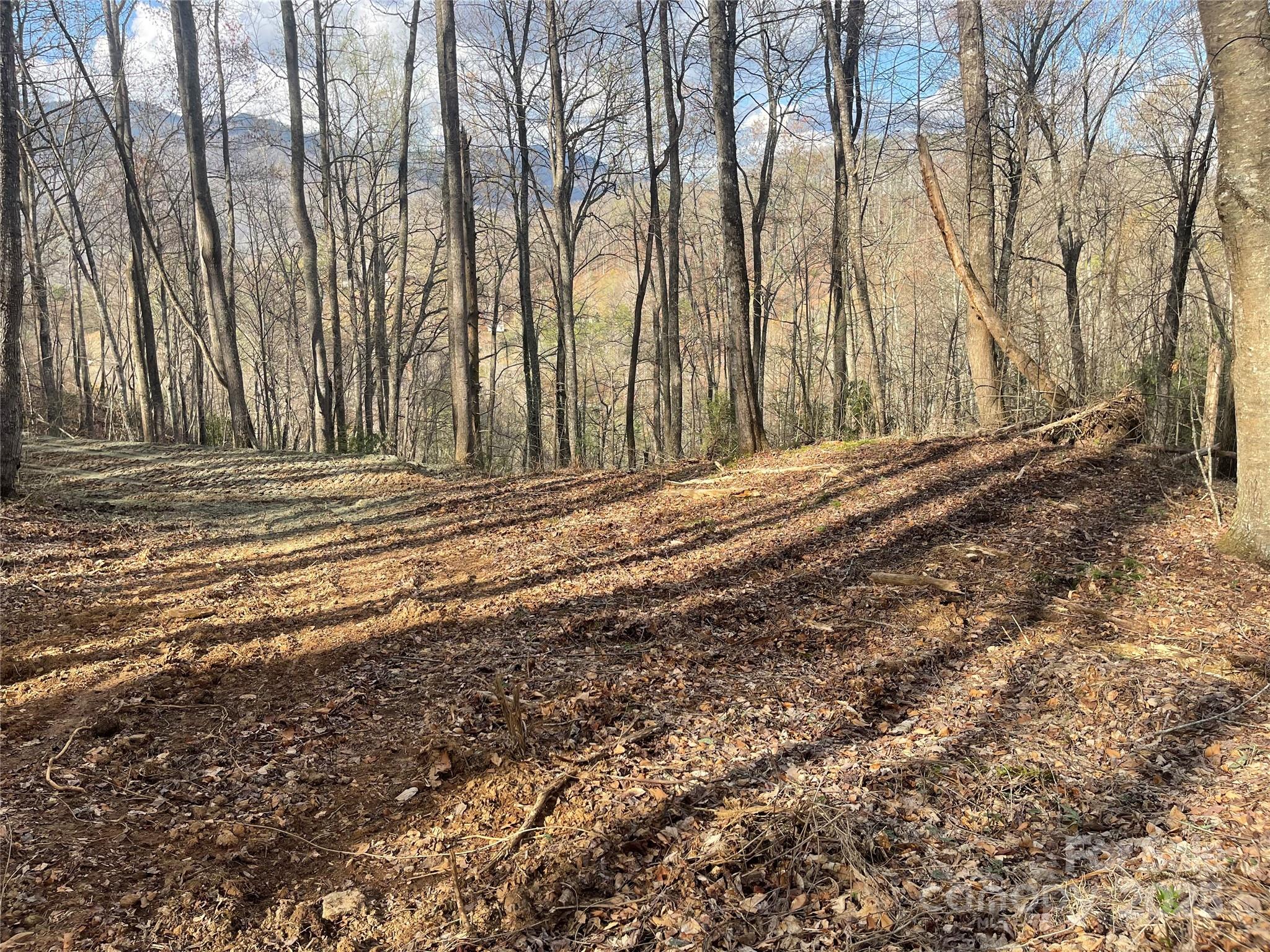 Acreage at 4 Copperhead Cove, Sylva, photo 4 of 28