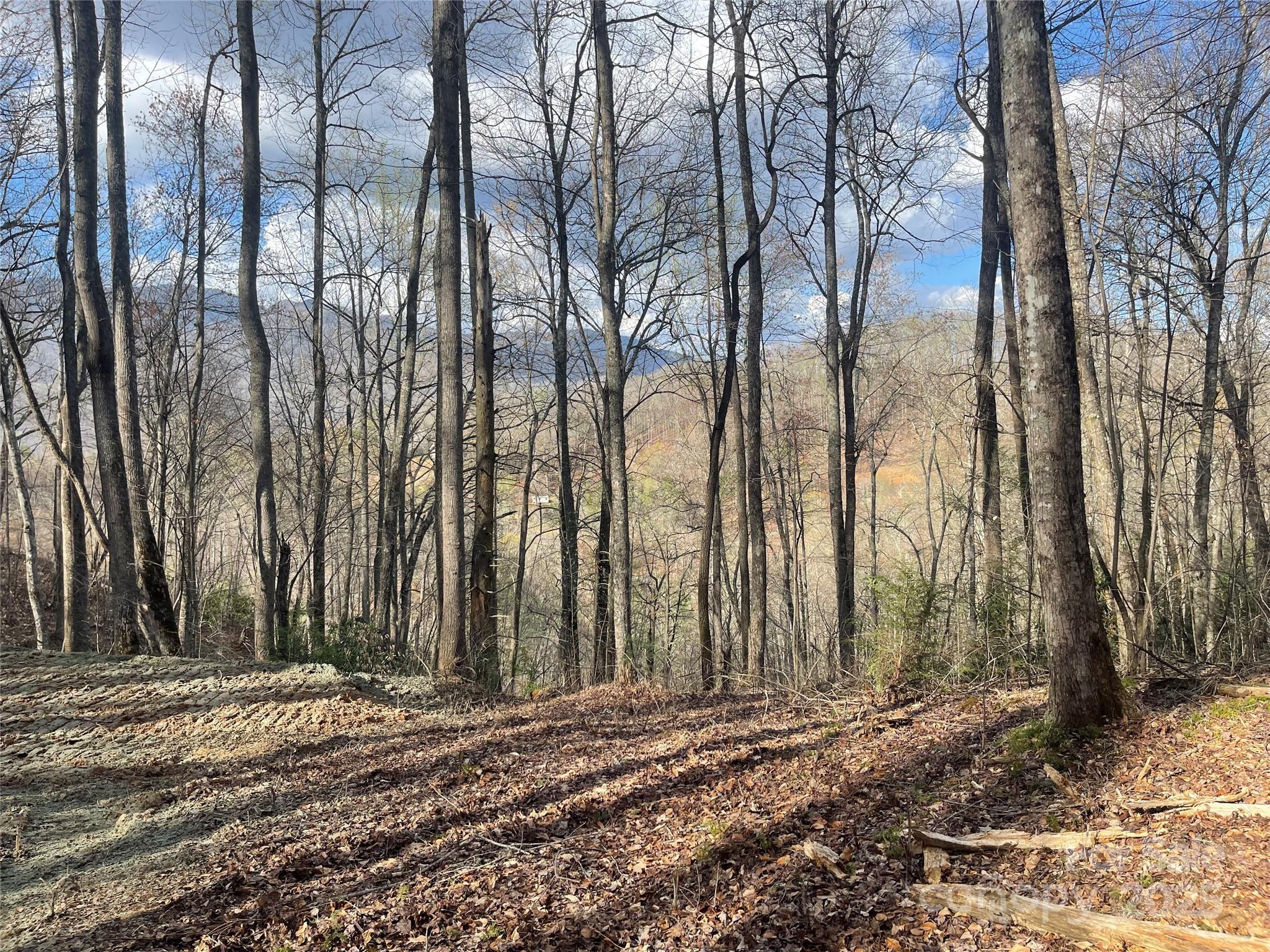 Acreage at 4 Copperhead Cove, Sylva, photo 5 of 28