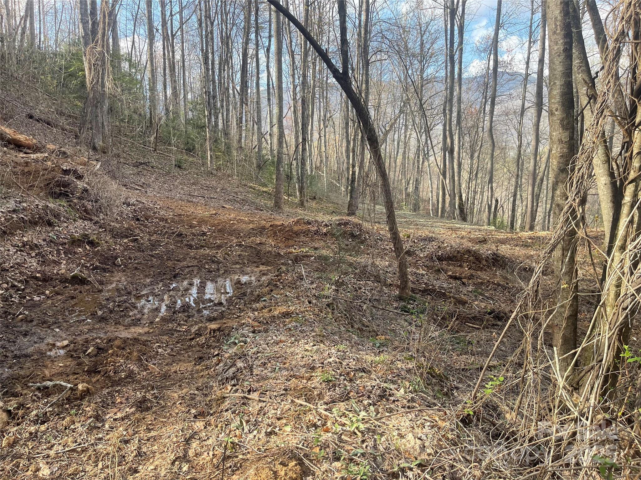 Acreage at 4 Copperhead Cove, Sylva, photo 6 of 28