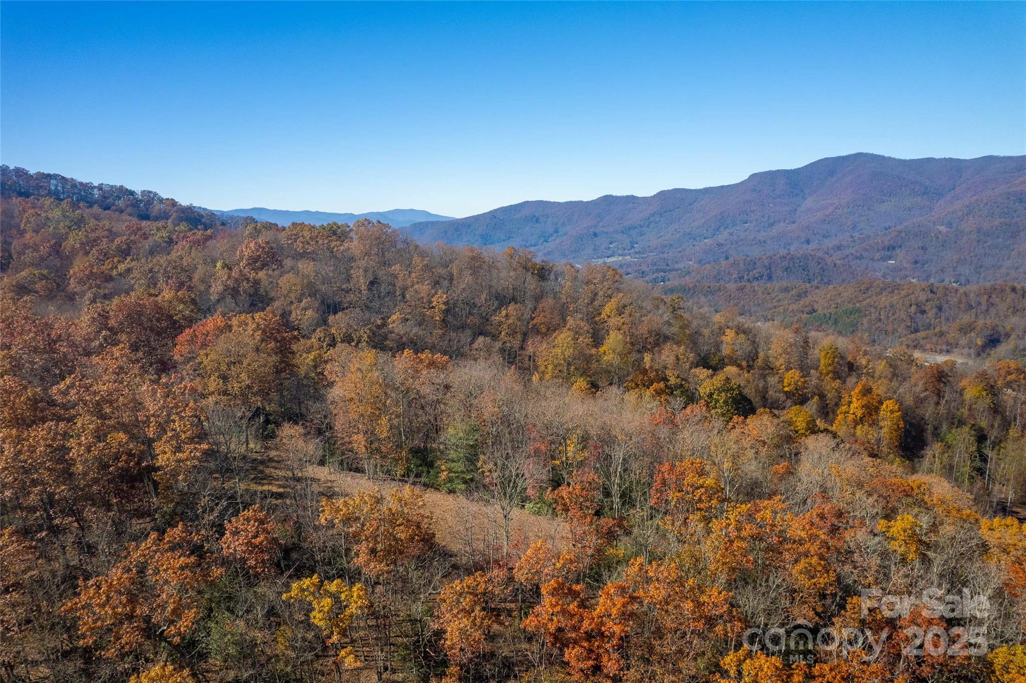 Acreage at 4 Copperhead Cove, Sylva, photo 7 of 28