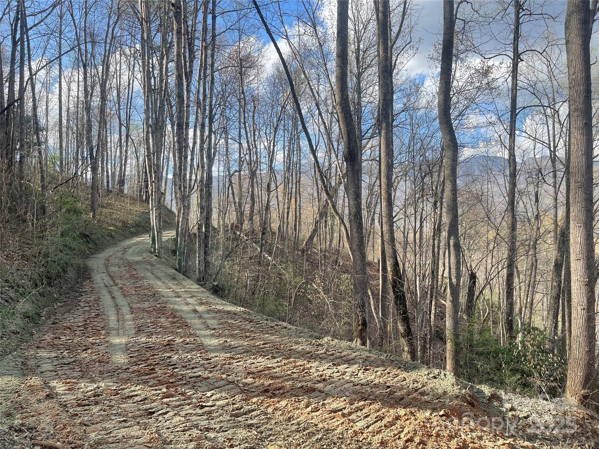 Acreage at 4 Copperhead Cove, Sylva, photo 8 of 28