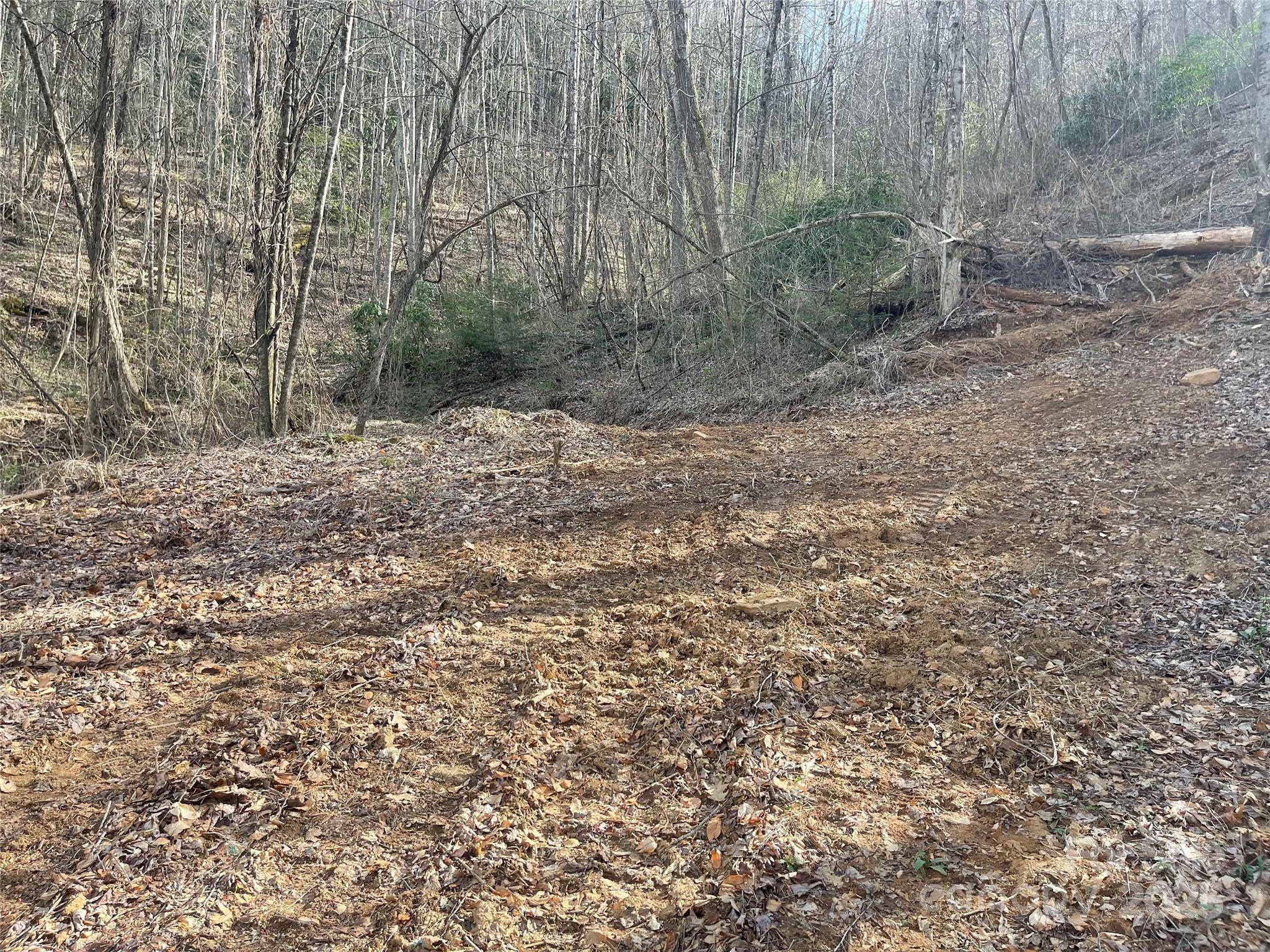 Acreage at 4 Copperhead Cove, Sylva, photo 10 of 28