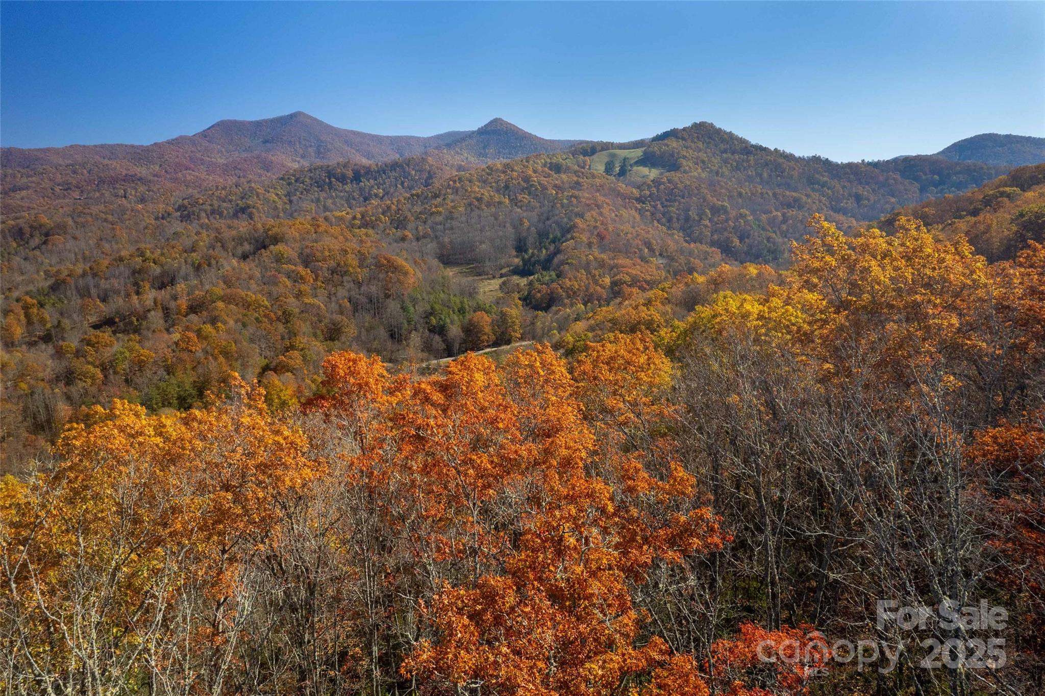 Acreage at 4 Copperhead Cove, Sylva, photo 11 of 28