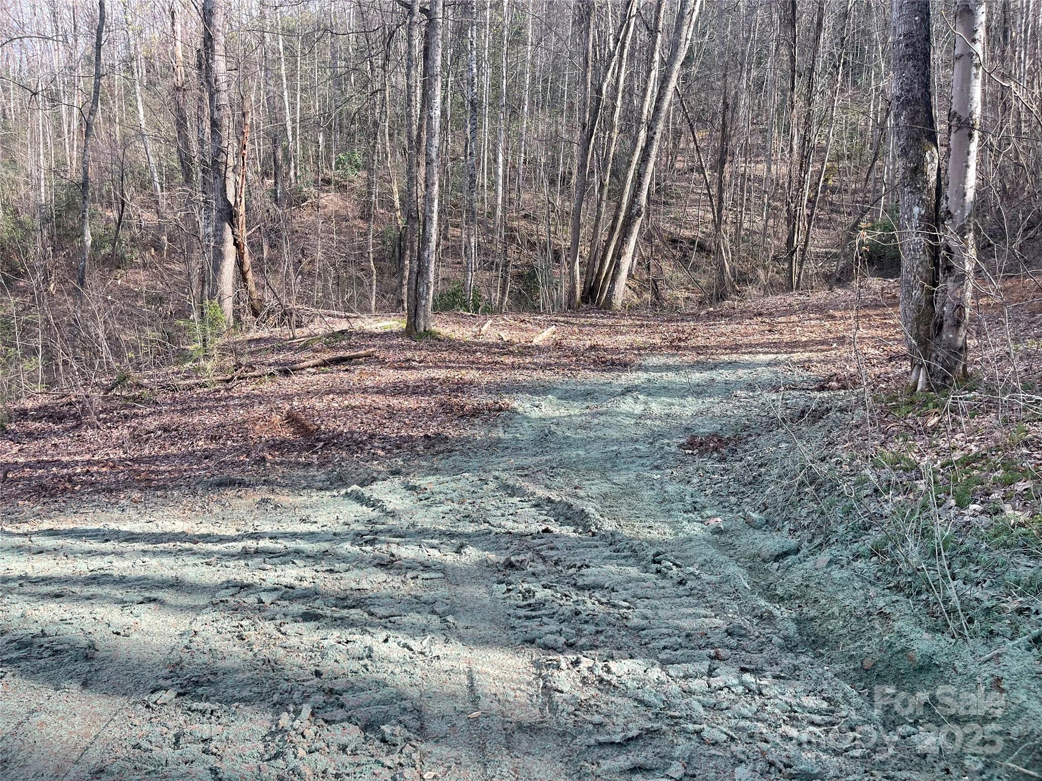 Acreage at 4 Copperhead Cove, Sylva, photo 12 of 28