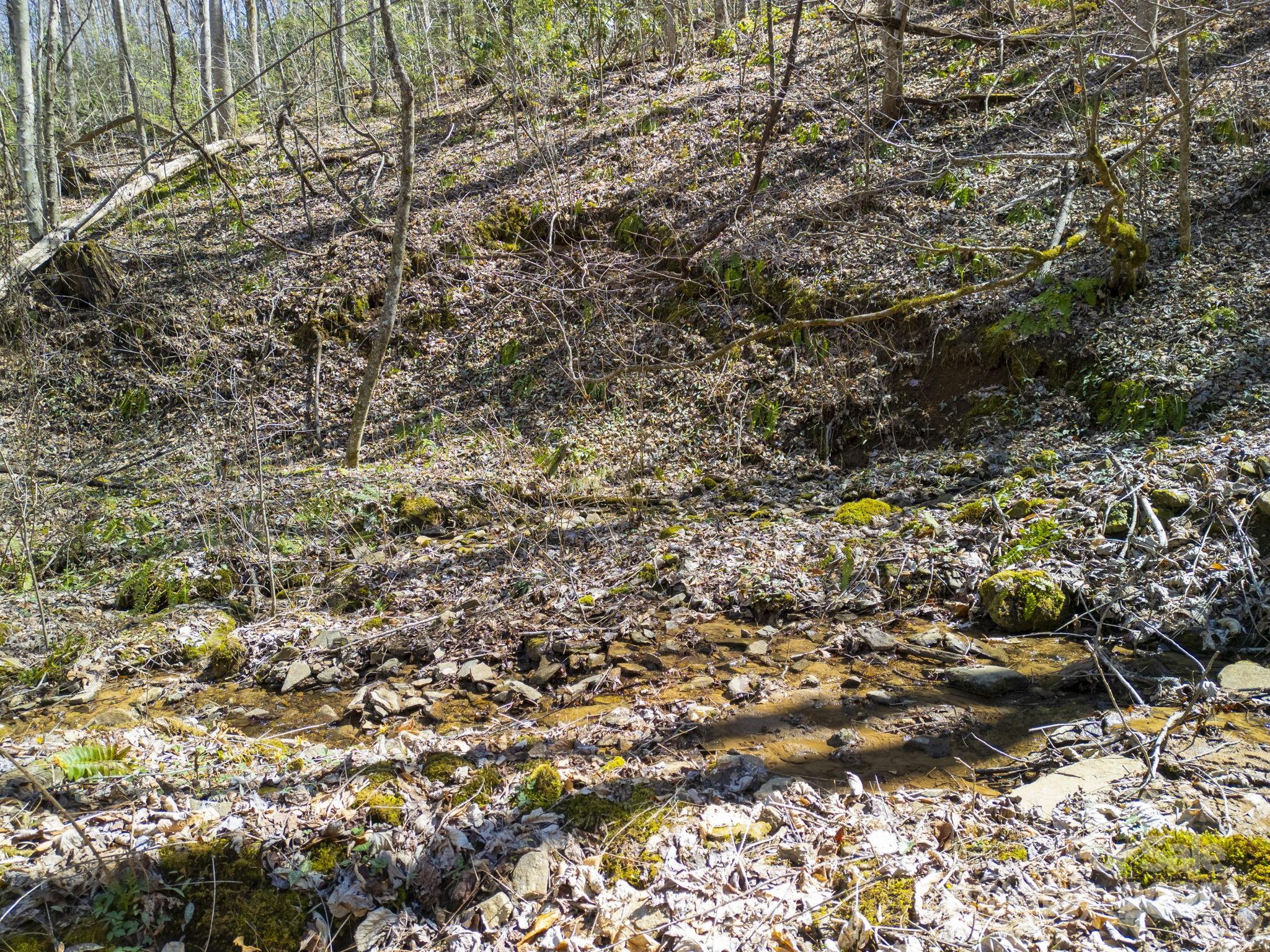 Acreage at 4 Copperhead Cove, Sylva, photo 14 of 28
