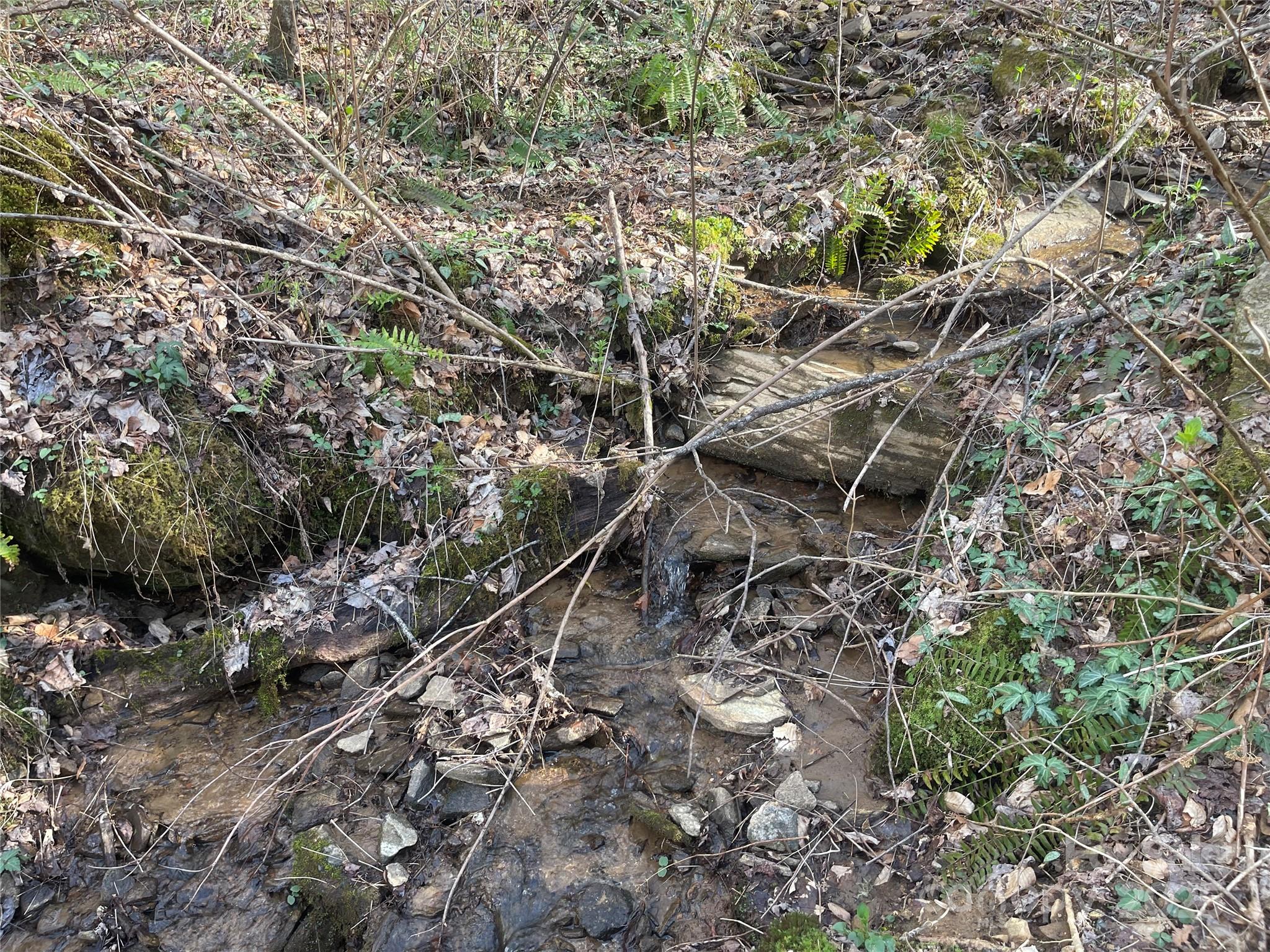 Acreage at 4 Copperhead Cove, Sylva, photo 16 of 28