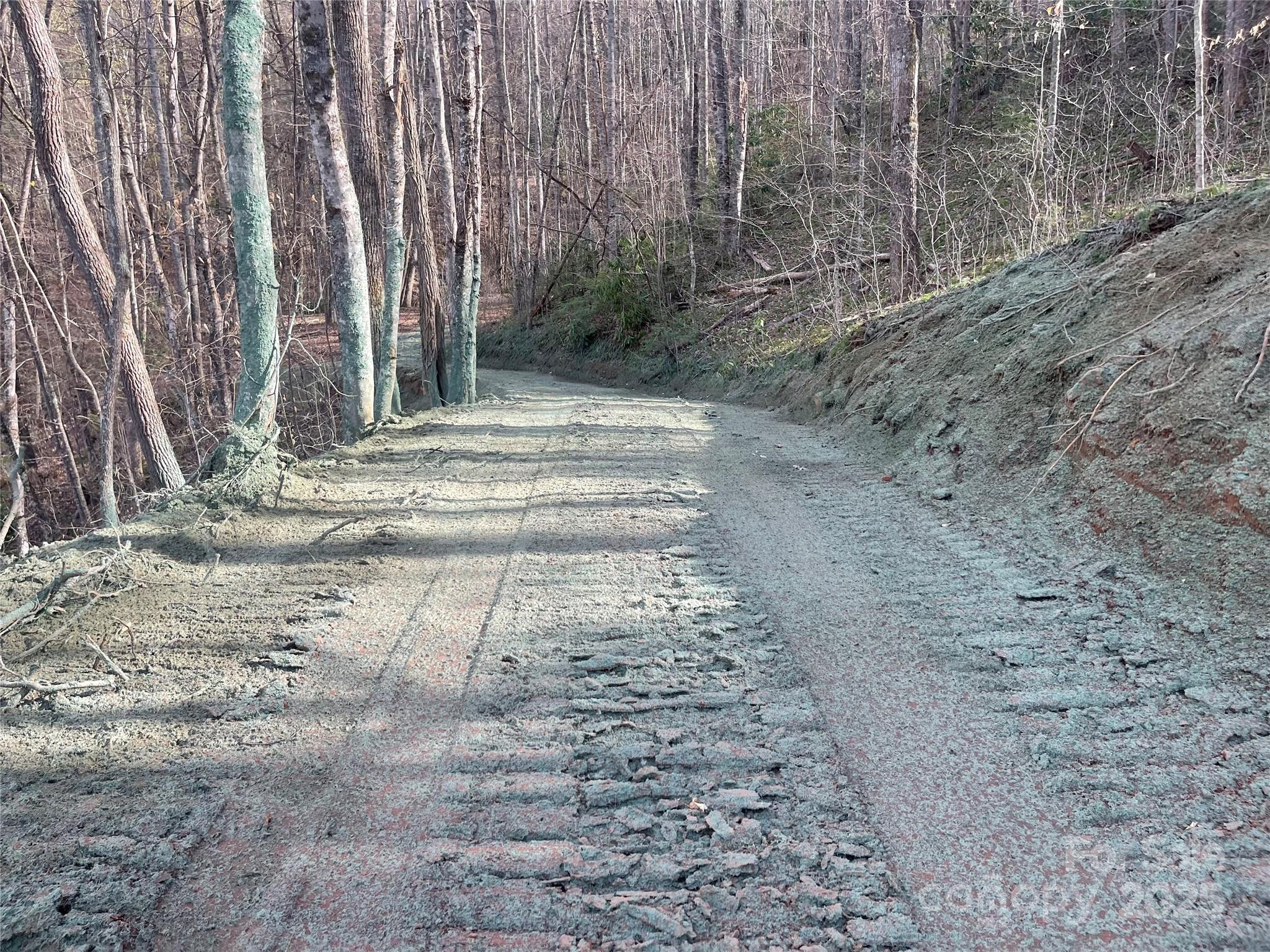 Acreage at 4 Copperhead Cove, Sylva, photo 18 of 28