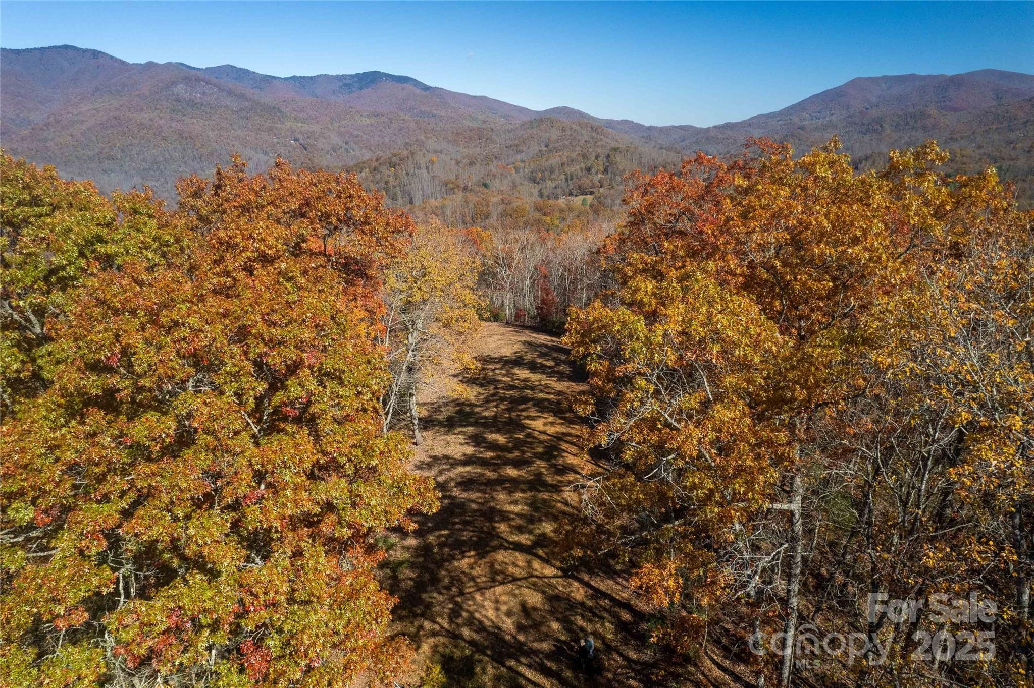 Acreage at 930 Copperhead Cove, Sylva, photo 9 of 48