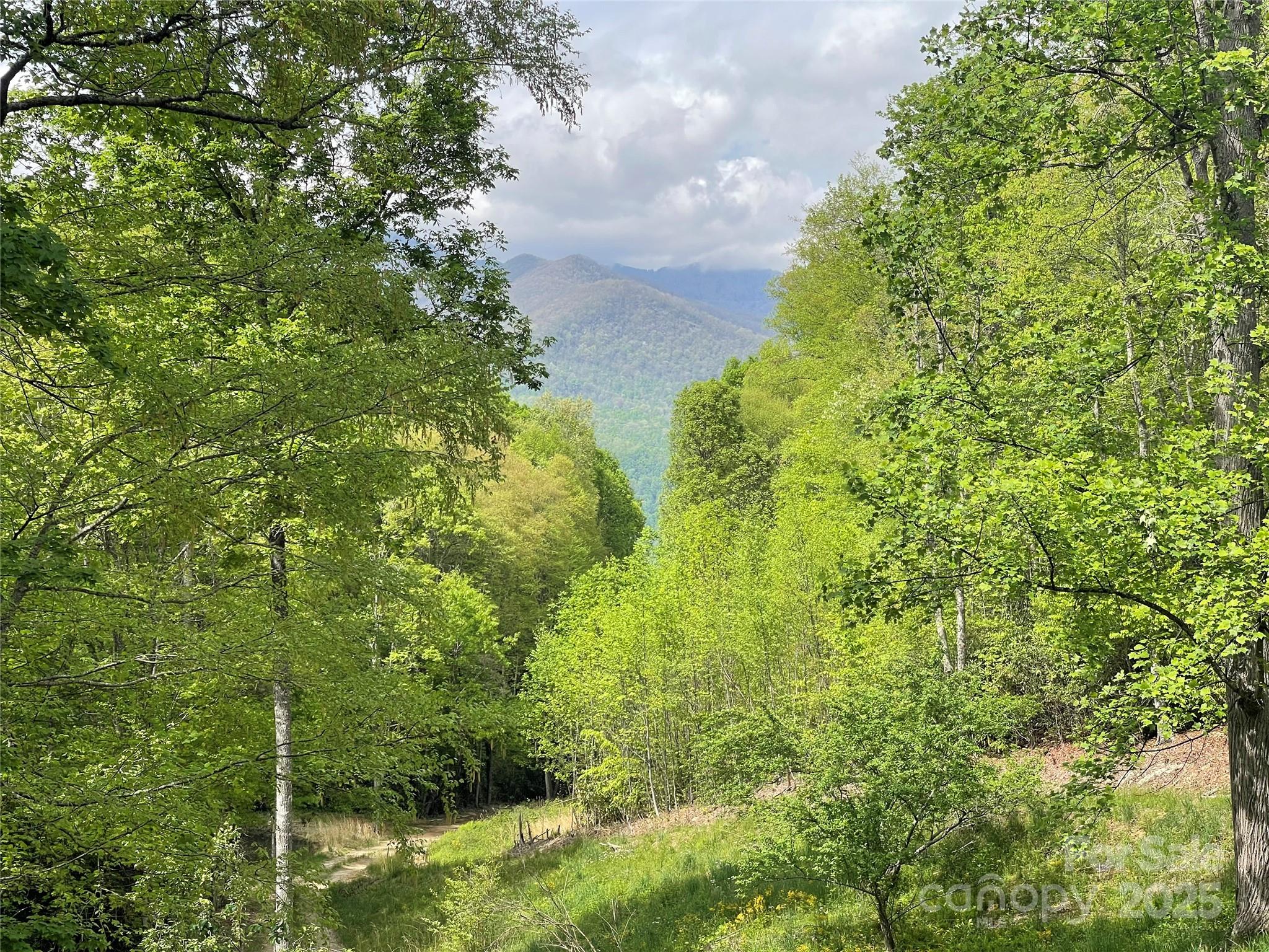 Acreage at 930 Copperhead Cove, Sylva, photo 10 of 48