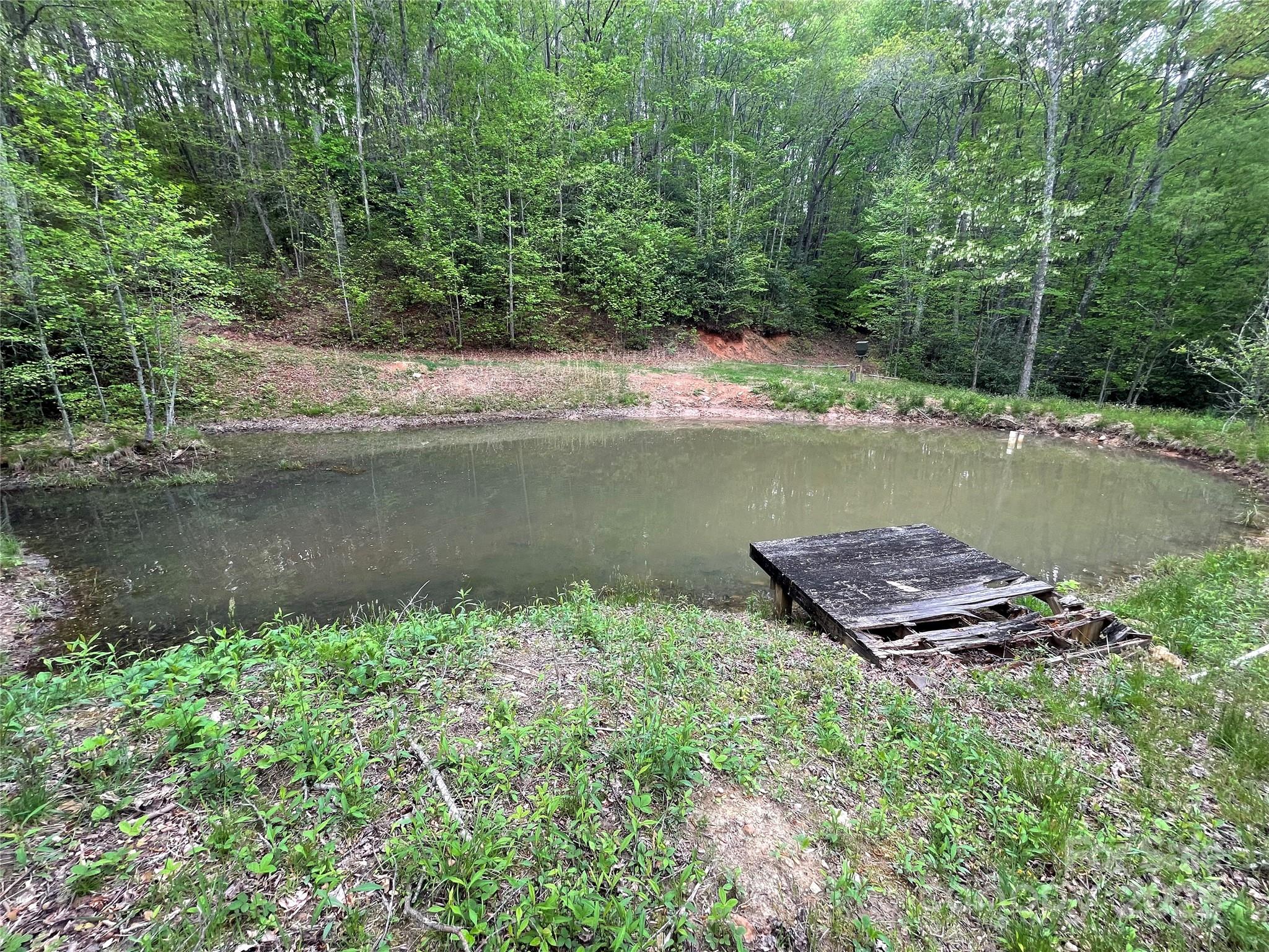 Acreage at 930 Copperhead Cove, Sylva, photo 12 of 48