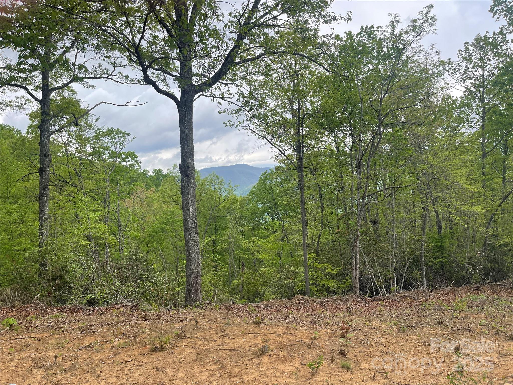 Acreage at 930 Copperhead Cove, Sylva, photo 13 of 48